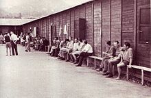 Coltano. Baracche nel Campo di concentramento
